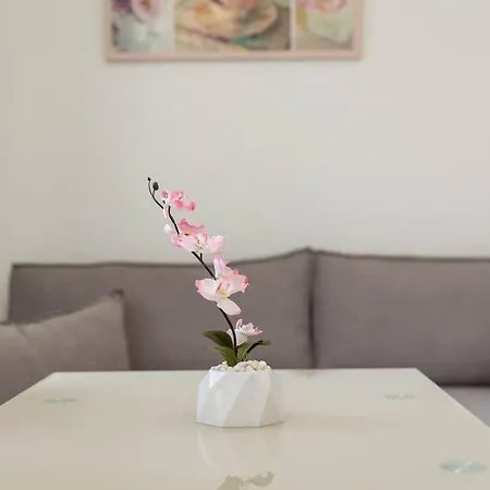 Apartment Naxian Place 3 *